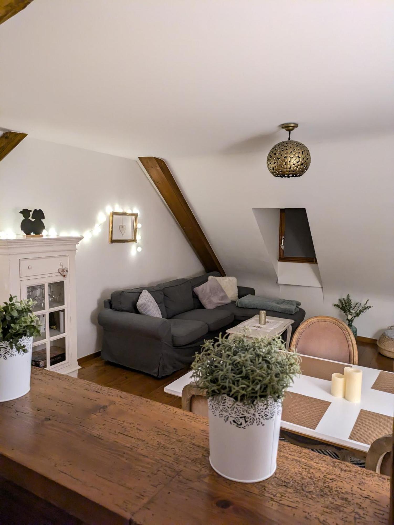 Les Toits De Turckheim Apartment Exterior photo